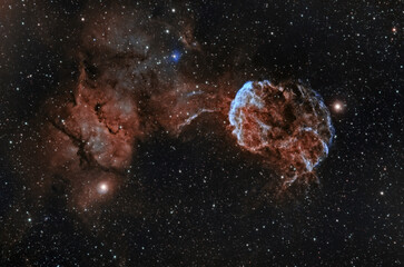 Wall Mural - IC443 - Jellyfish Nebula