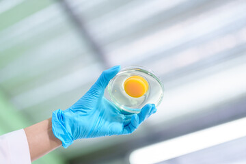 Wall Mural - Modern Medical Research Laboratory: Stem cell researcher working in laboratory Study on Stem Cells on the Stereo microscope view in laboratory , Advanced Scientific Lab for Medicine, Biotechnology.