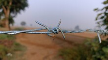 Barbed Wire On A Fence