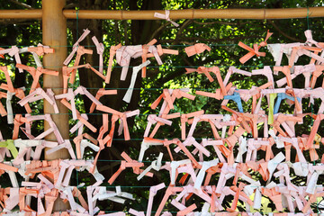 Dedicate your omikuji to a place of matchmaking at a shrine where you have drawn your omikuji and make a connection with God. At a Japanese shrine.