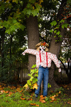 A Home Made Dressed Scarecrow In A House Garden Of Tenterfield