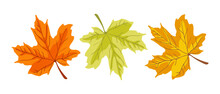Autumn Maple Leaves Set. Vector Illustrations Of Yellow, Orange And Green Leaf From Tree Branch. Cartoon Foliage Flying In Fall Autumn Air Of Forest Or Garden Isolated On White. Nature, Season Concept