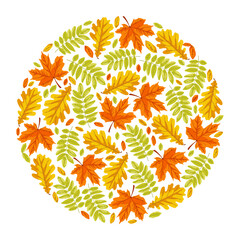 Wall Mural - autumn leaves set in pattern with circle shape. vector illustrations of fall ornament. cartoon round