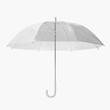 canvas print picture - clear vinyl umbrella