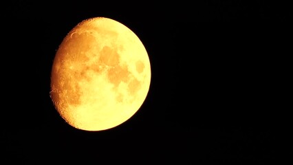 Wall Mural - Timelapse. A glowing golden huge moon as seen from earth through the atmosphere against a starry night sky. A large moon moves across the sky, the moon moving from the left frame to the right.