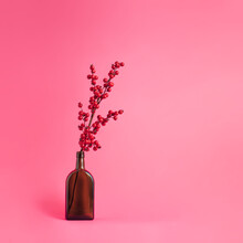 Minimal Winter Holidays Composition With One Decorative Branch In A Bottle. Christmas And New Year Concept.