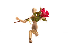 Symbol For Love. Wooden Puppet Kneeling And Presenting A Red Rose. Isolated On White Background.