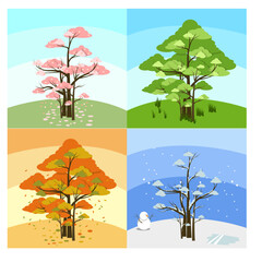 group of trees with four season trees in one vector, summer winter, autumn, fall, spring, and environment on it