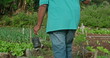© Marco - One older farmer walking outdoors with farming tool over his shoulder and seedling plant in hand. Senior man holding hoe and small tree for plantation
