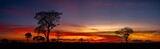 Fototapeta  - Panorama silhouette tree in africa with sunset.Tree silhouetted against a setting sun.Dark tree on open field dramatic sunrise.Typical african sunset with minimal acacia trees in Masai Mara, Kenya.
