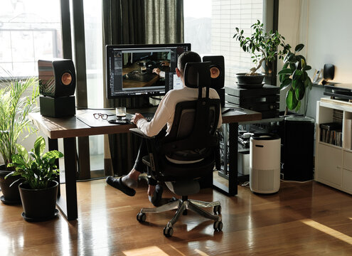 Back view of middle aged man working on his computer at home by a window at modern workplace in room decorated with green potted plants. Graphic designer working from home