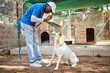 © S Fanti/peopleimages.com - Pet dog training, animal trainer and man teaching dog respect, listening to master and owner obedience with sit command. Animal shelter worker, pet care and professional dog trainer coaching rescue
