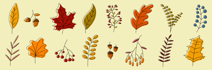 Wall Mural - Hand drawn autumn collection with seasonal plants and leaves. Set of hand drawn plants, leaves, flowers. Colorful of natural elements for seasonal backgrounds. Vector illustration