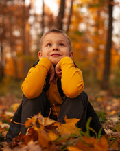 The Boy In The Autumn Park Sitting On The Yellow Foliage