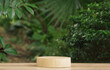 empty top table pine wood podium texture in tropical outdoor garden green plant blur background with copy space.organic healthy natural product present promotion display,nature forest jungle design.