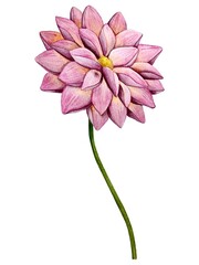 Wall Mural - Watercolor dahlia flowers. Botanical illustration.