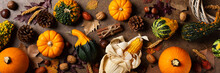 Autumn Fall Thanksgiving Day Composition With Decorative Pumpkins, Banner