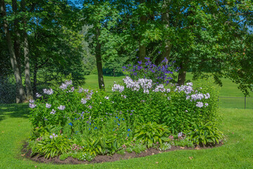 Wall Mural - Flower garden of a complex pattern