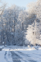 Winter snow on a road