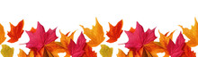 Autumn Seamless Transparent Background With Long Horizontal Border Made Of Falling Autumn Golden, Red And Orange Colored Leaves Isolated On Transparent Background. Hello Autumn Png