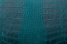 Blue Crocodile Leather Skin Background And Texture