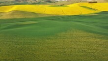 High-angle Video Panning Over Bright Green Countryside Fields