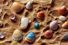  A Bunch Of Shells Are Laying On The Sand And Sand Beach Sand And Sand Is The Background Of The Shells.