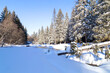 Beautiful winter landscape with river, snowdrifts and coniferous forest