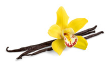 Fresh Aroma Orchid Vanilla With Sticks