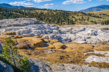 Poster - Mammoth Hot Springs Terraces, Yellowstone National Park.