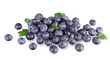 Blueberry antioxidant superfood isolated on white