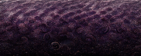 Sticker - purple texture