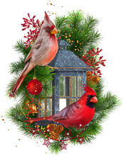 Christmas New Year Festive Background, Two Cardinal Birds Sit On A Fir Branch, Pine Trees Near A Decorative Lantern, Fir Branches, Pine Trees, Red Berries, Golden Decorations, Isolated