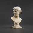 © 80a90f - Sculpture bust of Roza Loewenfeld. Marble statue of a woman. from side view, 3d Rendering