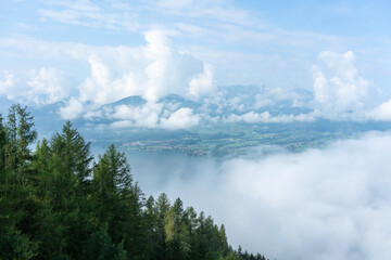 Wall Mural - View at the Traunsee from above the trees