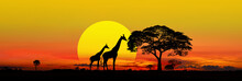 Panorama Silhouette  Giraffe Family And Tree In Africa With Sunset.Tree Silhouetted Against A Setting Sun.Typical African Big SUN, Sunset With Acacia Trees In Masai Mara, Kenya