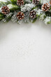 Christmas snowy fir tree branches, pine cone on white background. Xmas vertical greeting card. Space for text.