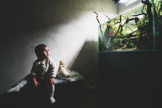 A small cute baby with toy rabbit sits on a pouf in a dark room and looks at the beautiful freshwater aquascape with live aquarium plants, Frodo stones, redmoor roots covered by java moss.