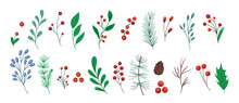 Christmas Tree Line Plants, Berry And Mistletoe, Stems And Cones. Xmas Branch Silhouette Colorful Elements, Holly Pine, Red And White Leaf, Tidy Botanical Objects. Vector Illustration Icons