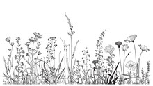 Beautiful Wild Flowers In The Field Hand Drawn Sketch Vector Illustration