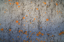 Old Concrete Surface With Orange Spots Of Lichen.