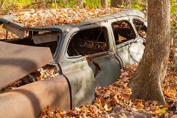 Old rusted car in the woods.