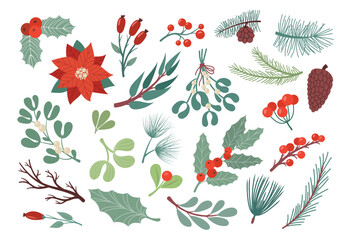 Christmas plant leaves, poinsettia flower, coniferous tree branches. Xmas wreath, botanical floral leaf decor collection, native holiday winter twigs. Vector doodle isolated illustration
