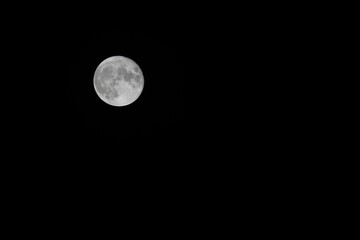 Wall Mural - scenic view of the full moon in the dark sky
