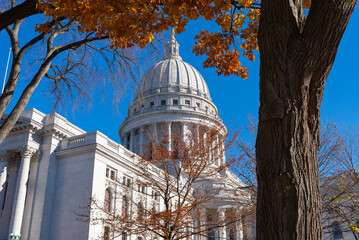 Wall Mural - State Capitol Building.