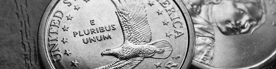 Wall Mural - american coins close-up lie on dark surface of table. soaring eagle sacagawea dollar coin. us econom