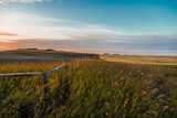 Fototapeta Dmuchawce - sunset over the field