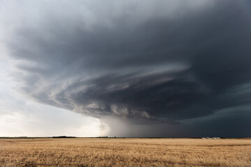 Wall Mural - storm clouds from a supercell thunderstorm over a field in kansas