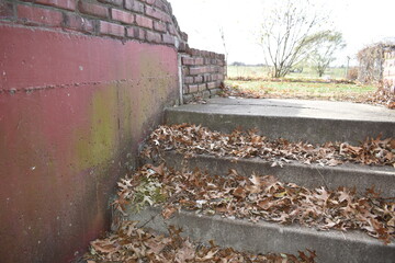 Poster - Fallen Leaves on Steps