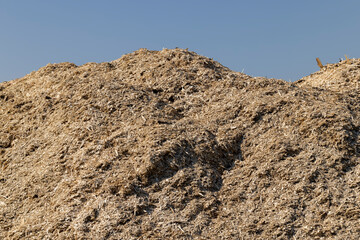 A huge pile of sawdust at a woodworking company